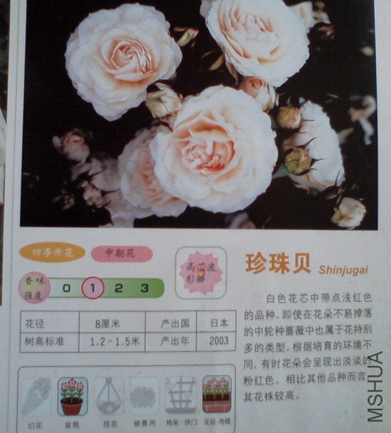 �����㽵�Ǿޱͥ԰ 020.jpg