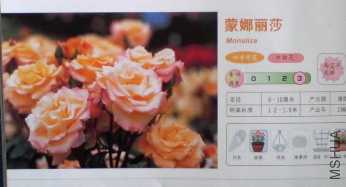 �����㽵�Ǿޱͥ԰ 021.jpg