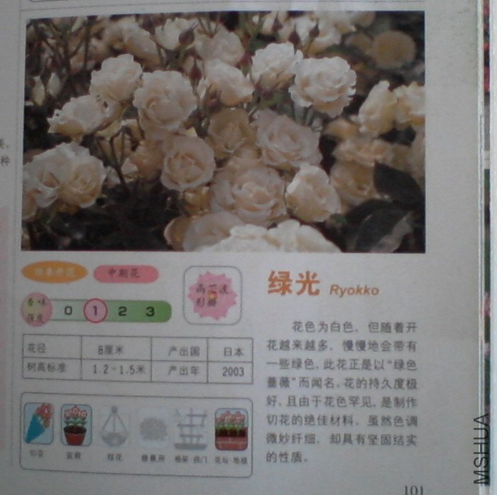 �����㽵�Ǿޱͥ԰ 022.jpg