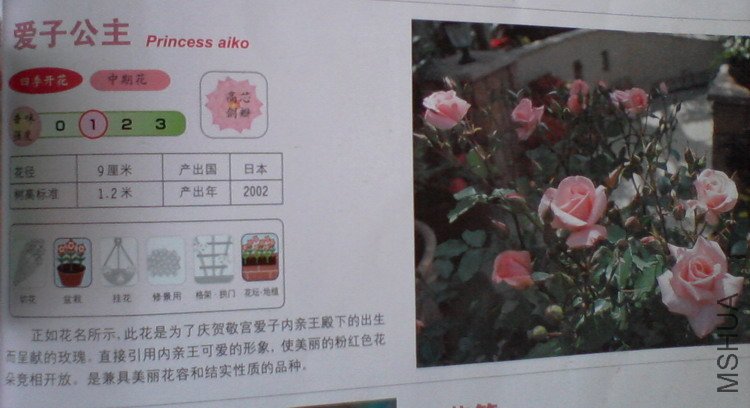 �����㽵�Ǿޱͥ԰ 023.jpg