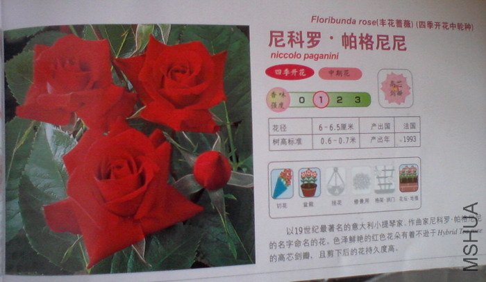 �����㽵�Ǿޱͥ԰ 024.jpg