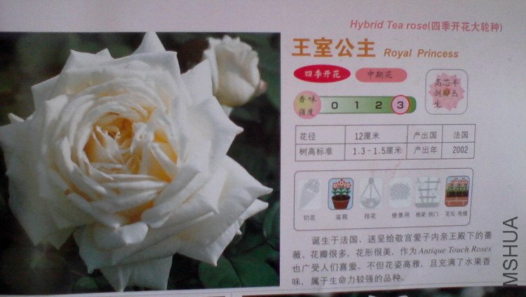 �����㽵�Ǿޱͥ԰ 025.jpg