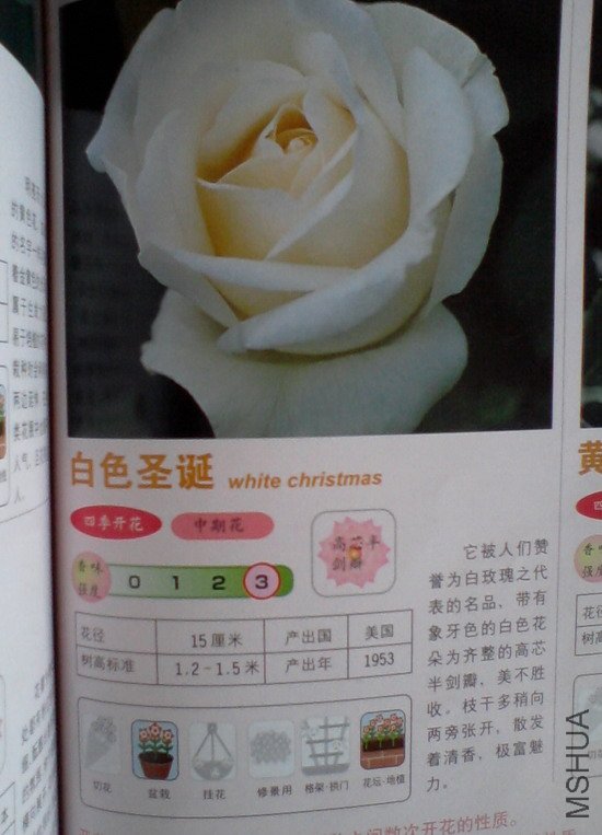 �����㽵�Ǿޱͥ԰ 026.jpg