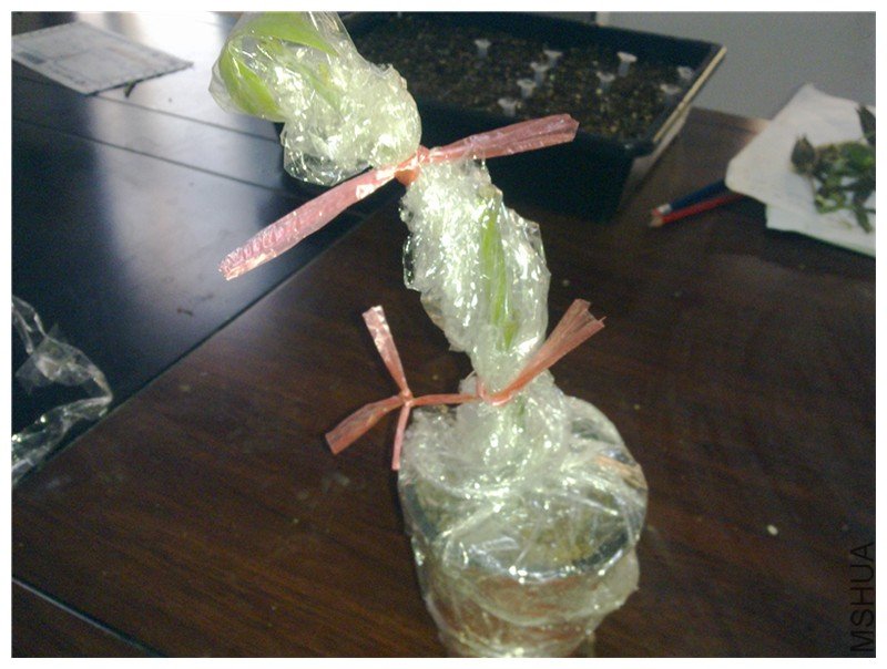 20101109309_����.jpg