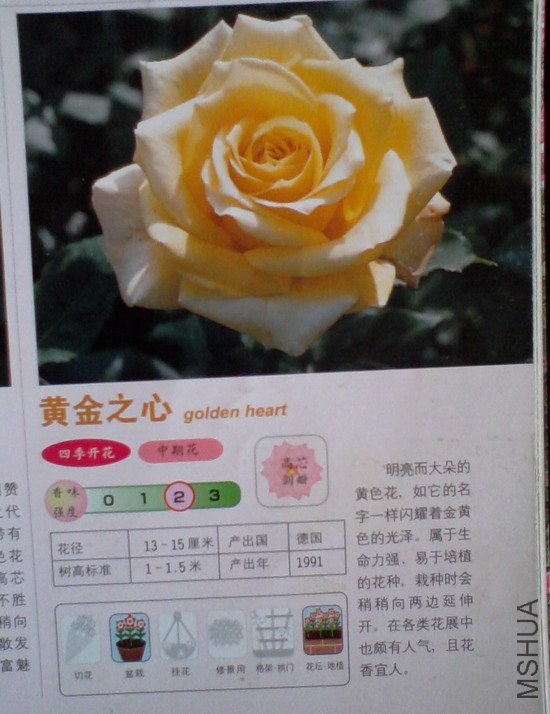 �����㽵�Ǿޱͥ԰ 027.jpg