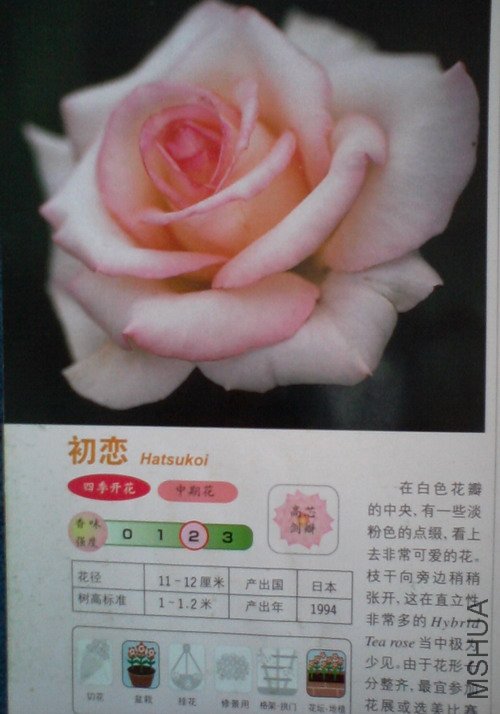 �����㽵�Ǿޱͥ԰ 029.jpg