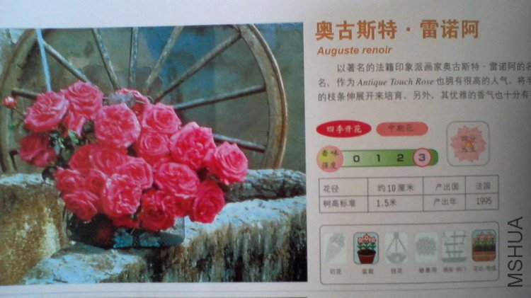 �����㽵�Ǿޱͥ԰ 031.jpg