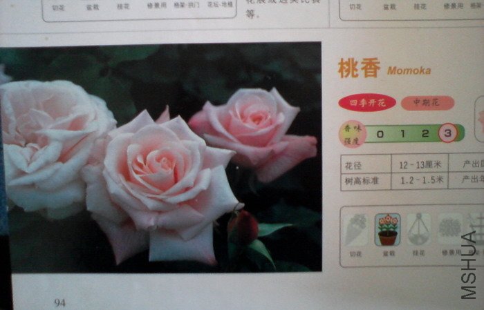 �����㽵�Ǿޱͥ԰ 030.jpg