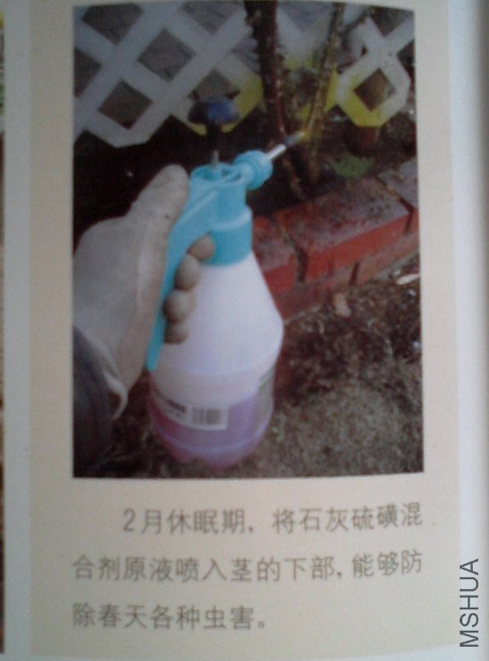 �����㽵�Ǿޱͥ԰ 003.jpg