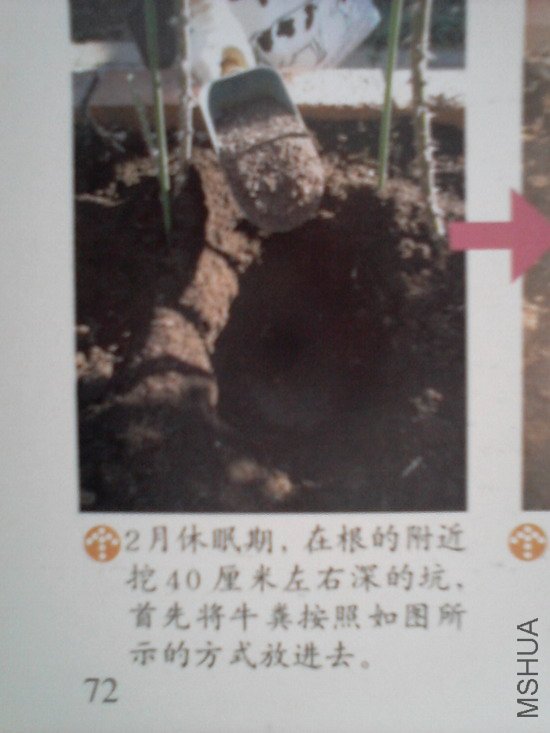 �����㽵�Ǿޱͥ԰ 004.jpg