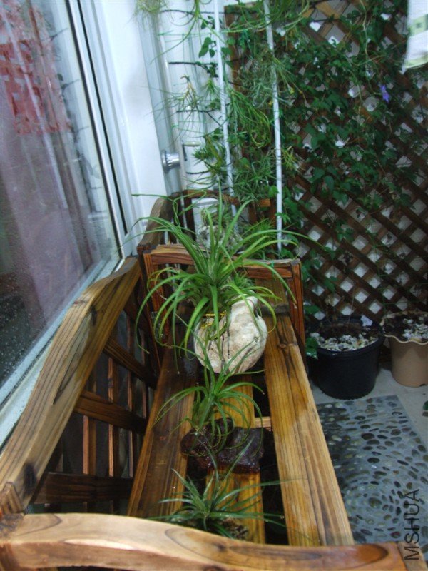 39�շ�.jpg