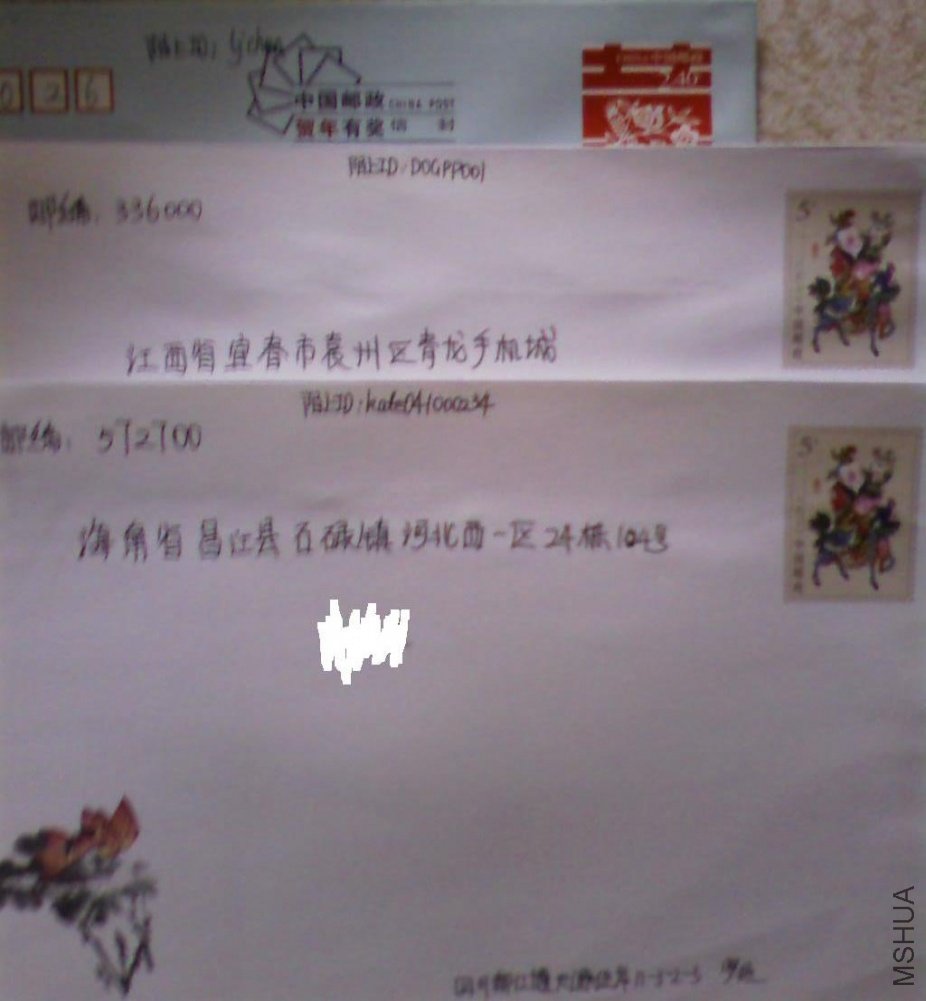 SP_A0222.jpg