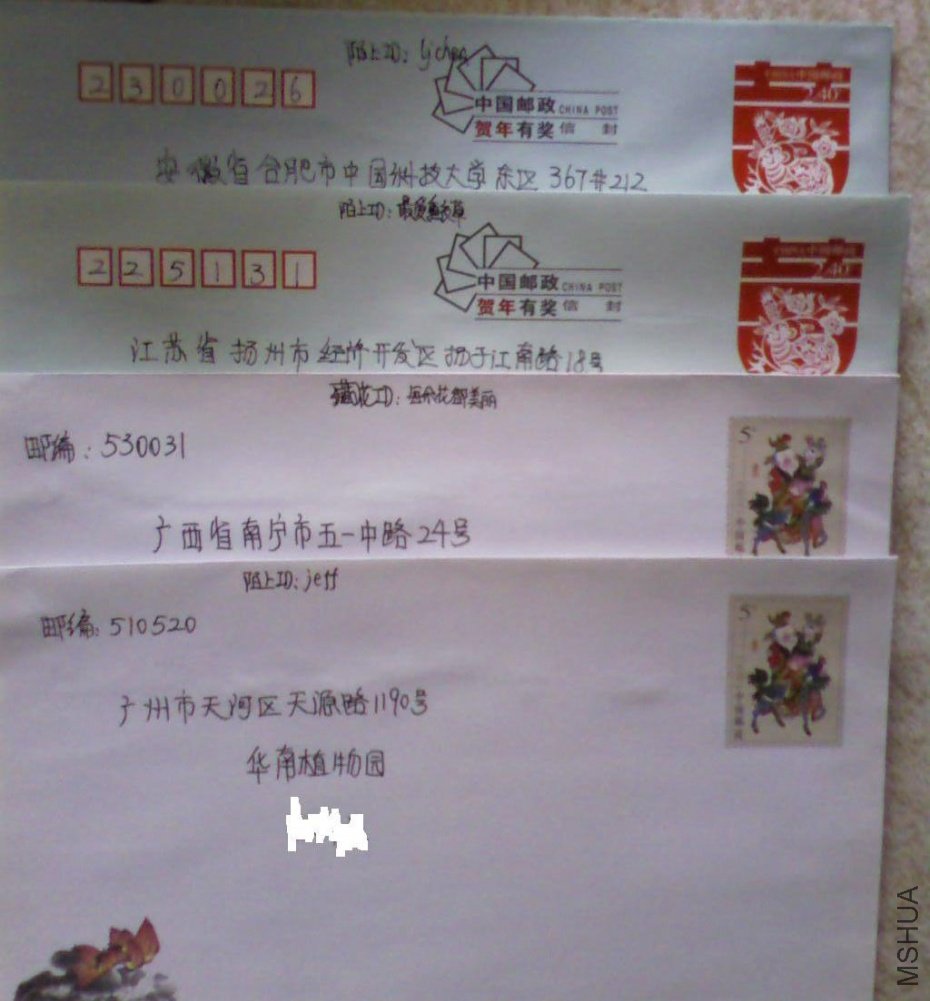 SP_A0221.jpg