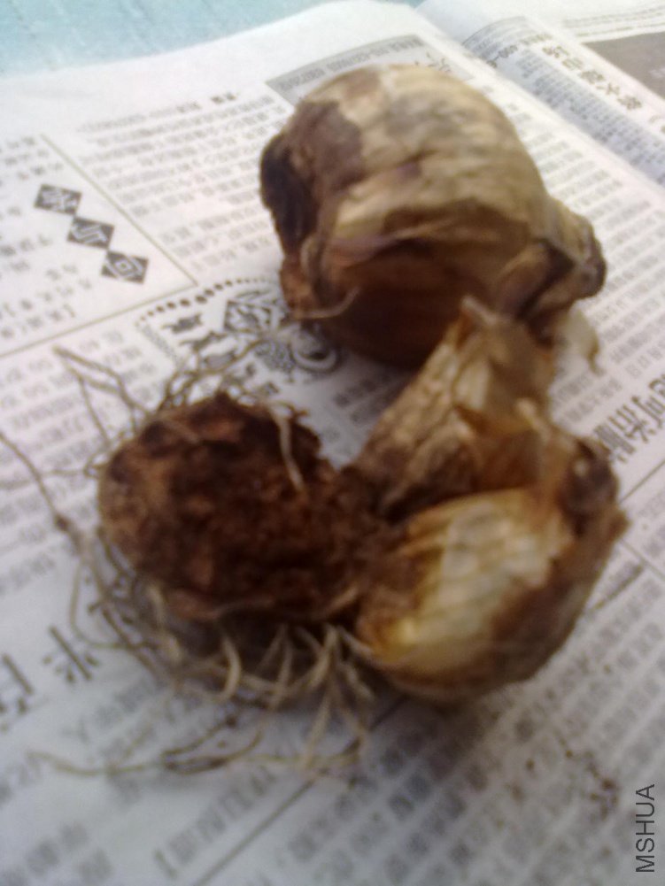 ���������ȫ���룬�������з�ĩ����