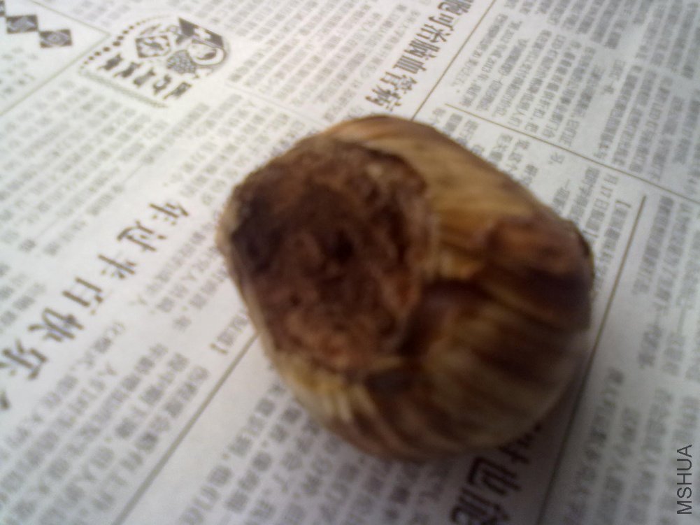 �����ʺ�ɫ��ĩ״