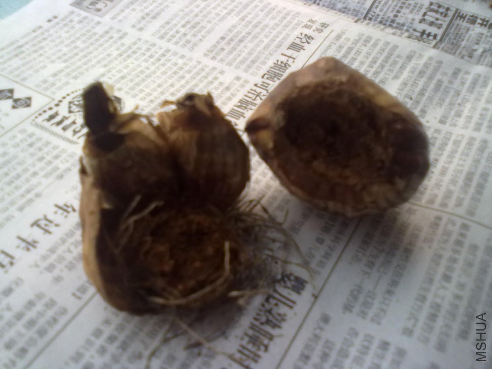 �򿪰�װ��������Ѿ��͸�������