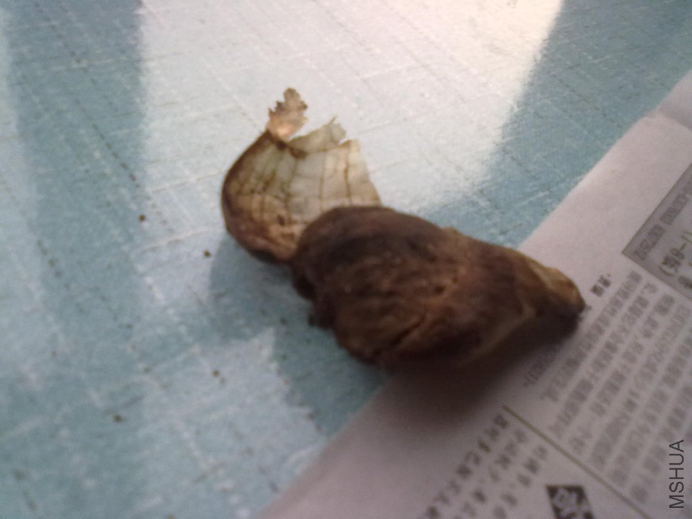 ����һ��С������£��۾��Ѿ���ȫ���ֺ�ɫ��