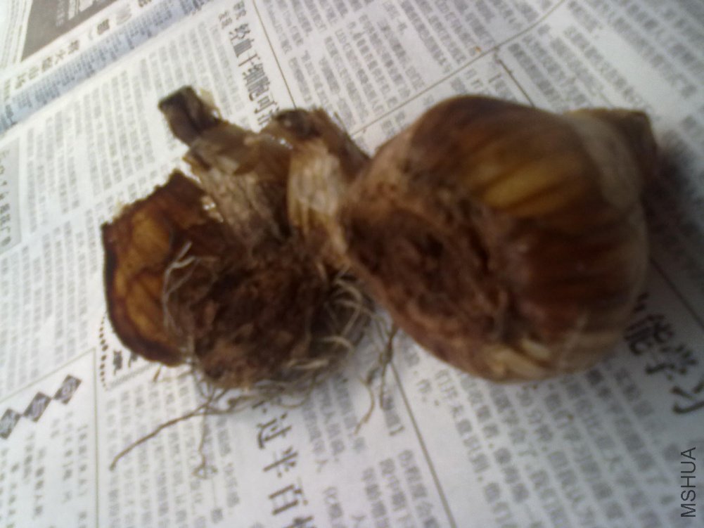 �ֻ����㲻���������