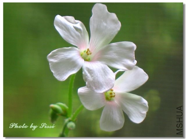 nEO_IMG_100712 006.jpg