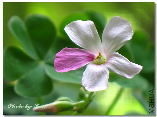 nEO_IMG_100712 009.jpg