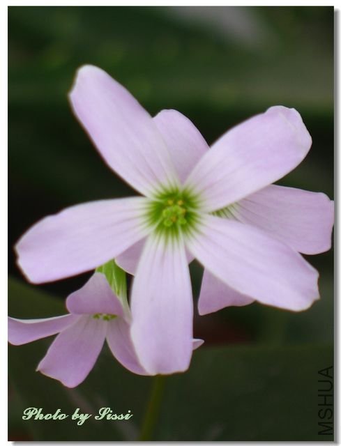 nEO_IMG_101017 059.jpg