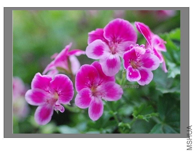 ���գ��廳��