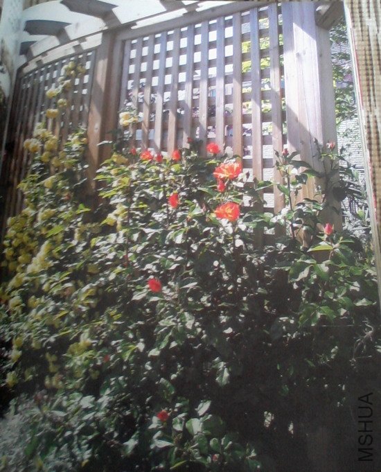 2010.11.12~2 002.jpg