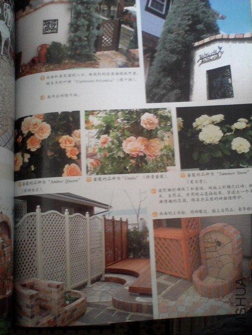 2010.11.12~2 006.jpg