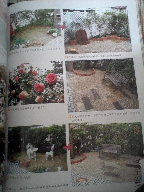 2010.11.12~2 004.jpg