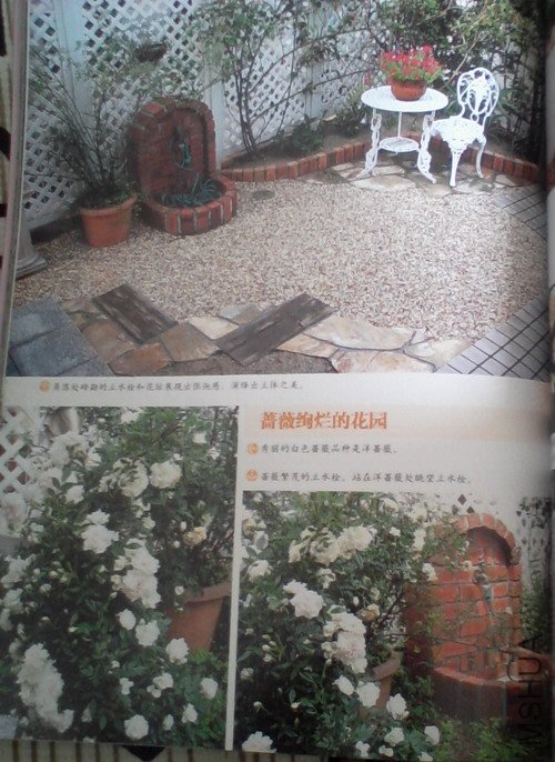 2010.11.12~2 005.jpg