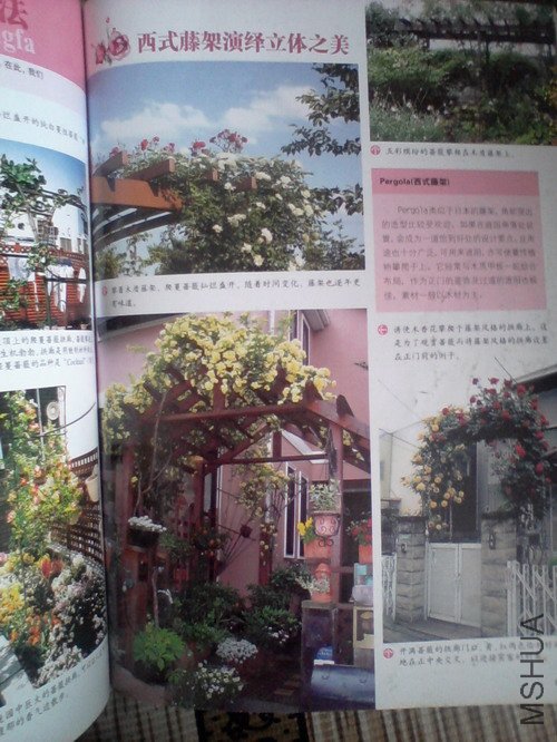 2010.11.12~2 008.jpg