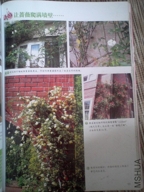 2010.11.12~2 010.jpg