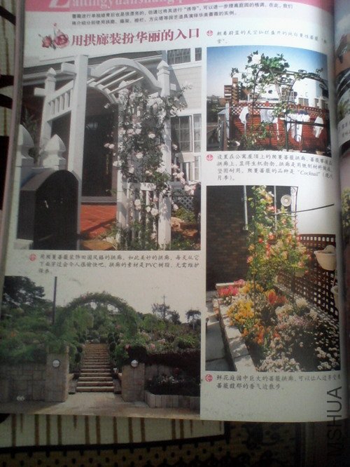 2010.11.12~2 007.jpg