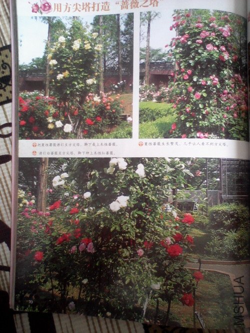 2010.11.12~2 011.jpg