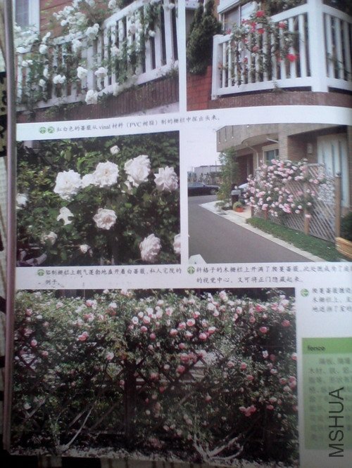 2010.11.12~2 009.jpg