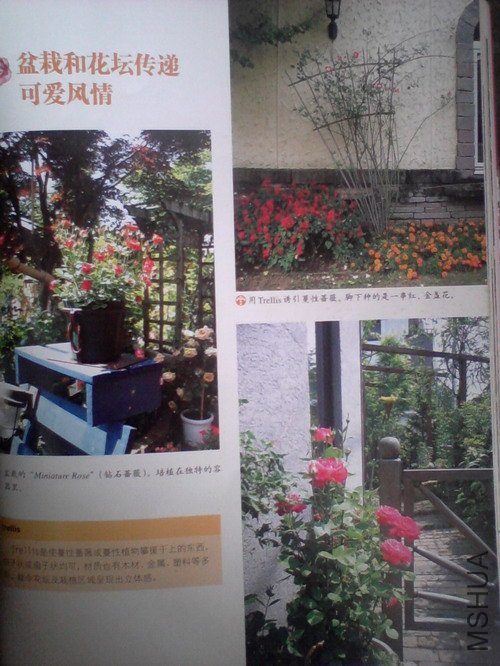 2010.11.12~2 013.jpg