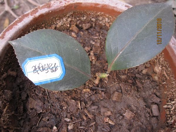 ����1 001.jpg