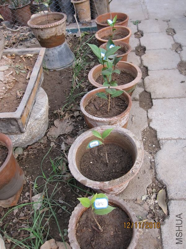 ����1 002.jpg