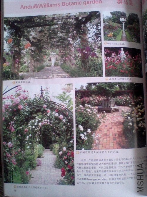 2010.11.12~2 020.jpg