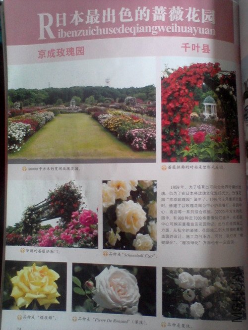 2010.11.12~2 017.jpg