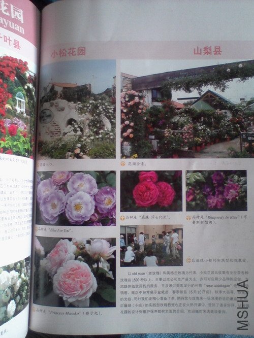 2010.11.12~2 019.jpg