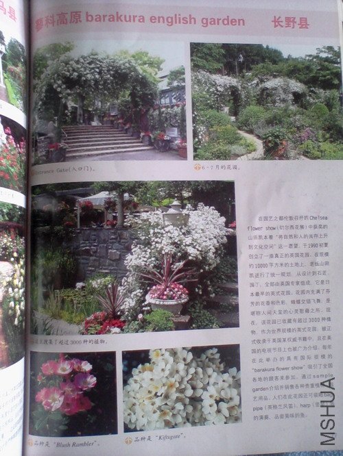 2010.11.12~2 021.jpg