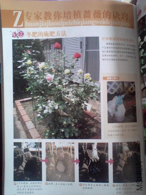 2010.11.12~2 015.jpg