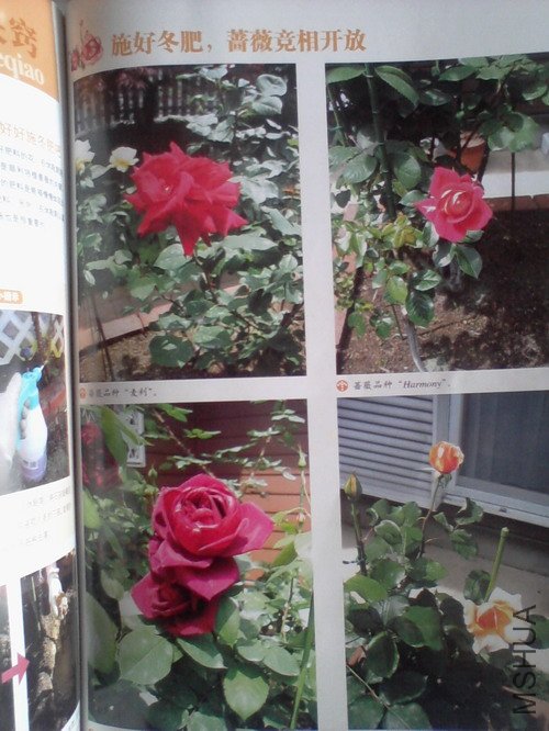 2010.11.12~2 016.jpg