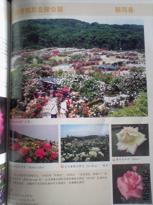 2010.11.12~2 023.jpg