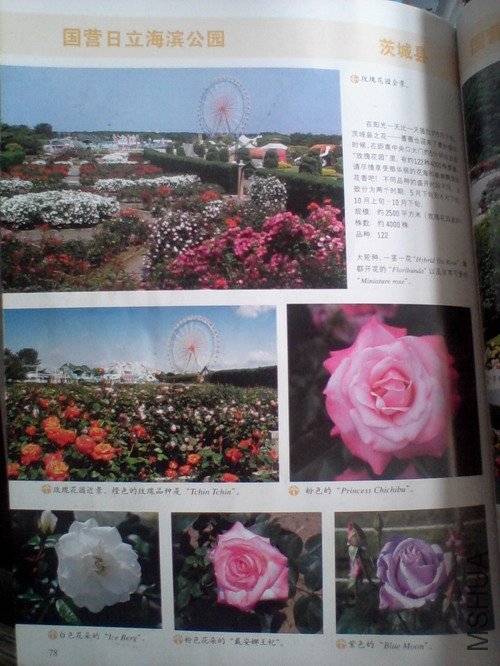 2010.11.12~2 022.jpg