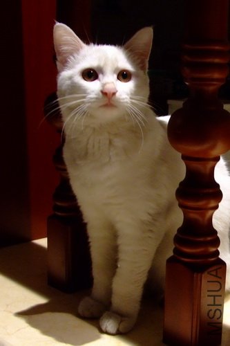 ����2010��11��12�� 2.jpg