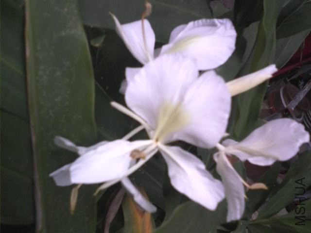 �¿�����