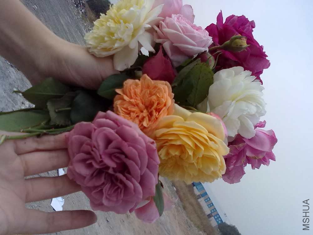 20101113099.jpg