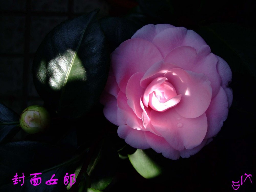 ����Ů��10-11-12 (3).jpg